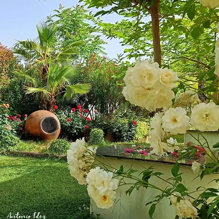 Szálloda Plaza Manjon Villanueva del Arzobispo